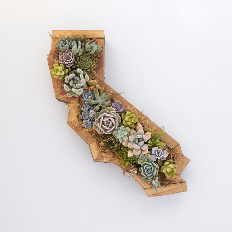 Redwood California Kit
