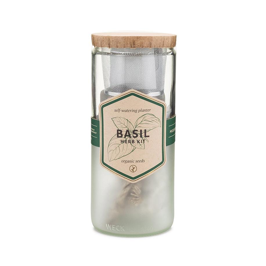 Eco Planter - Basil
