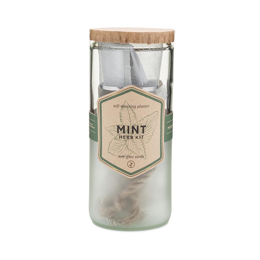 Eco Planter Kit - Mint